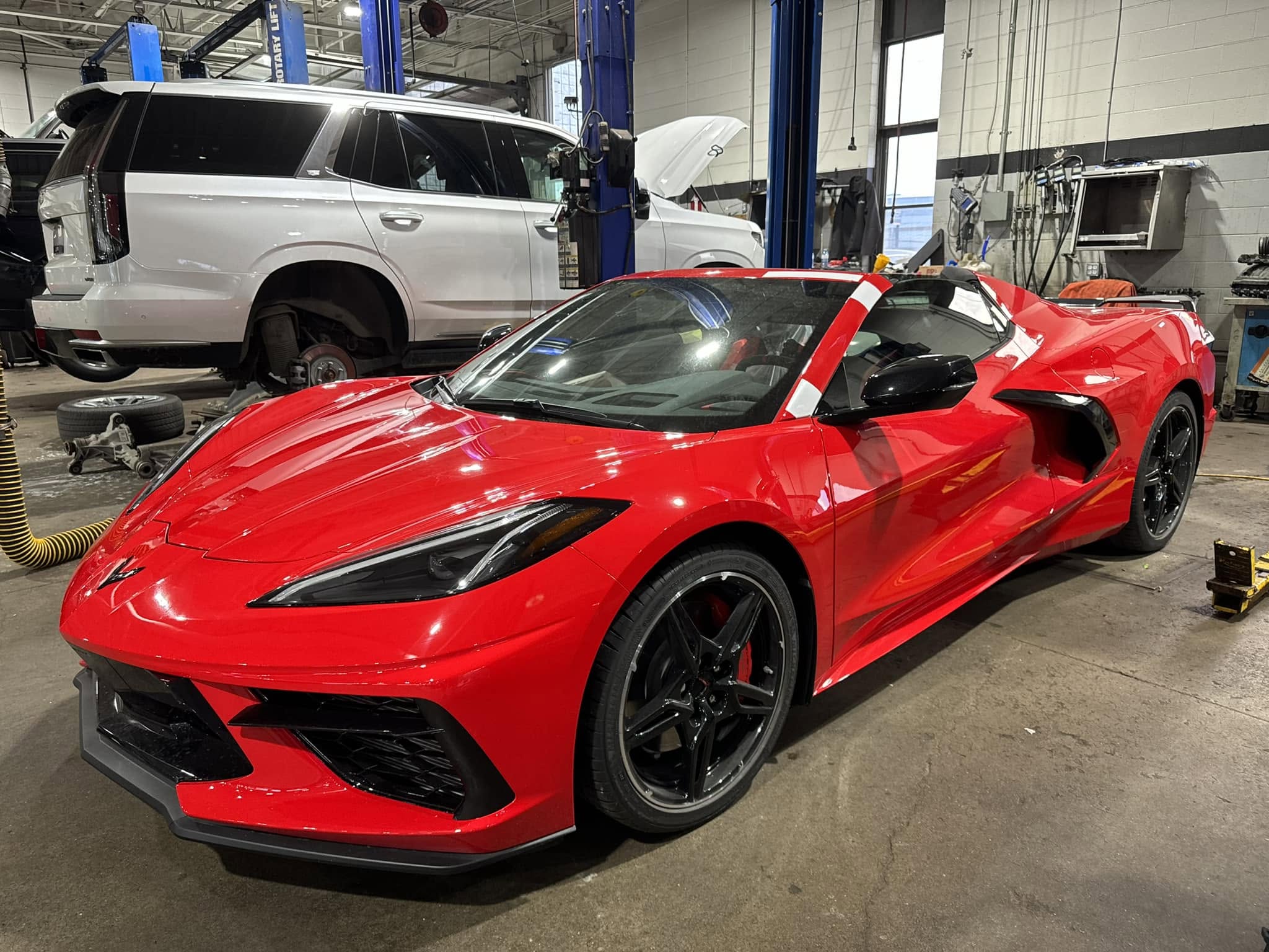 Automotive window tint
