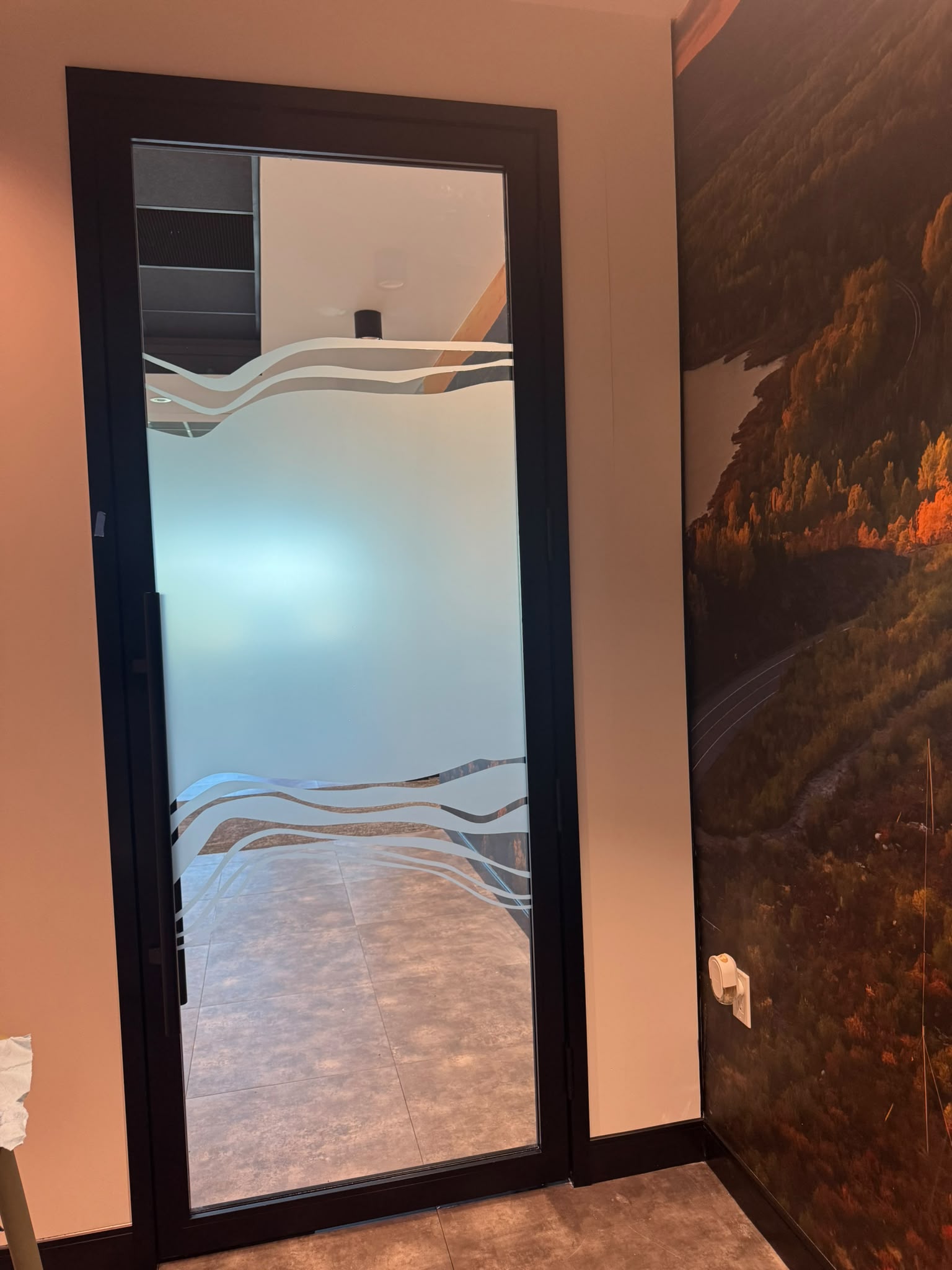 Commercial window tint