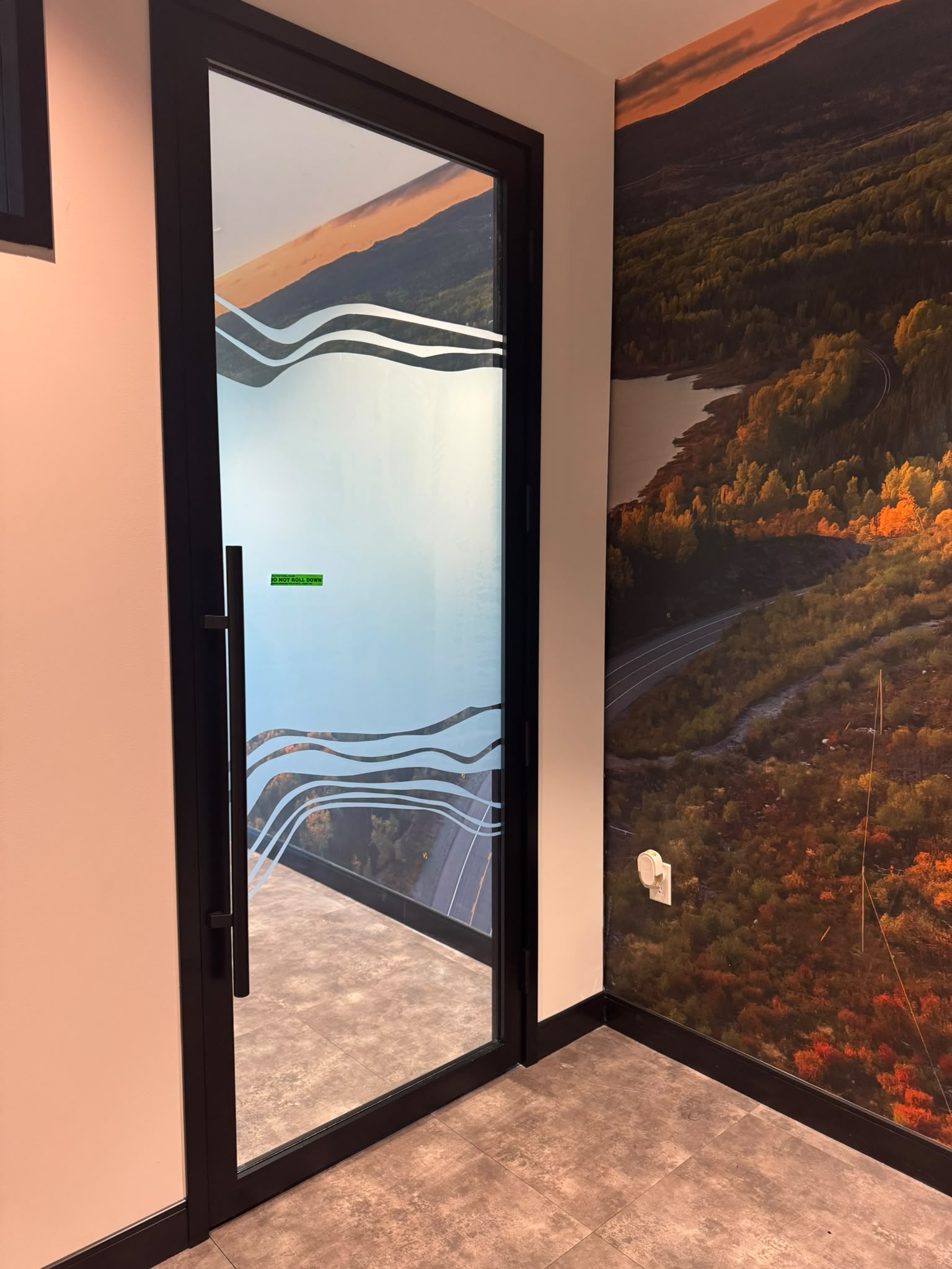 Commercial window tint
