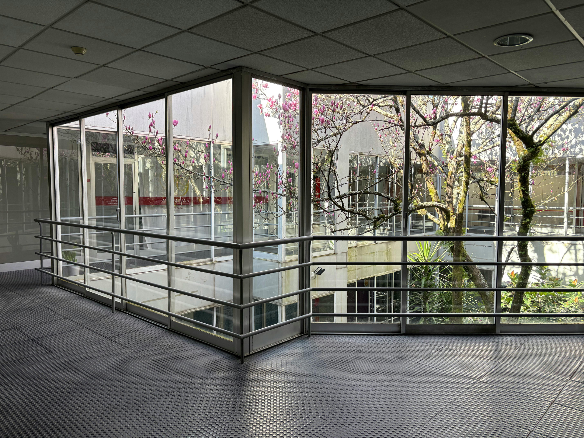 Building window film